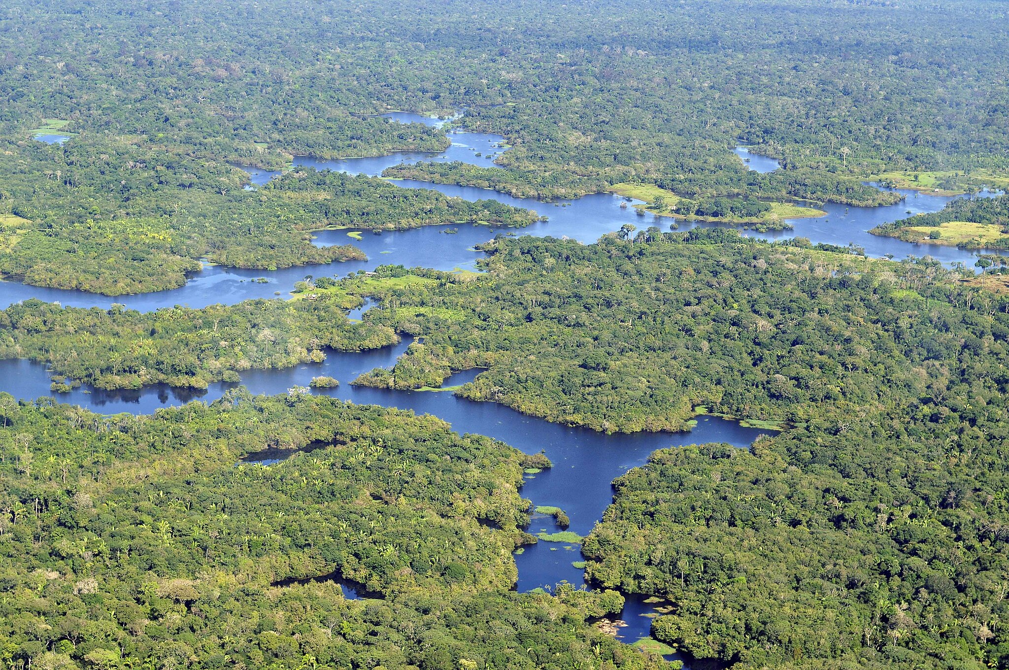 Aerial view of the Amazon rainforest, in the Brazilian state of Amazonas.