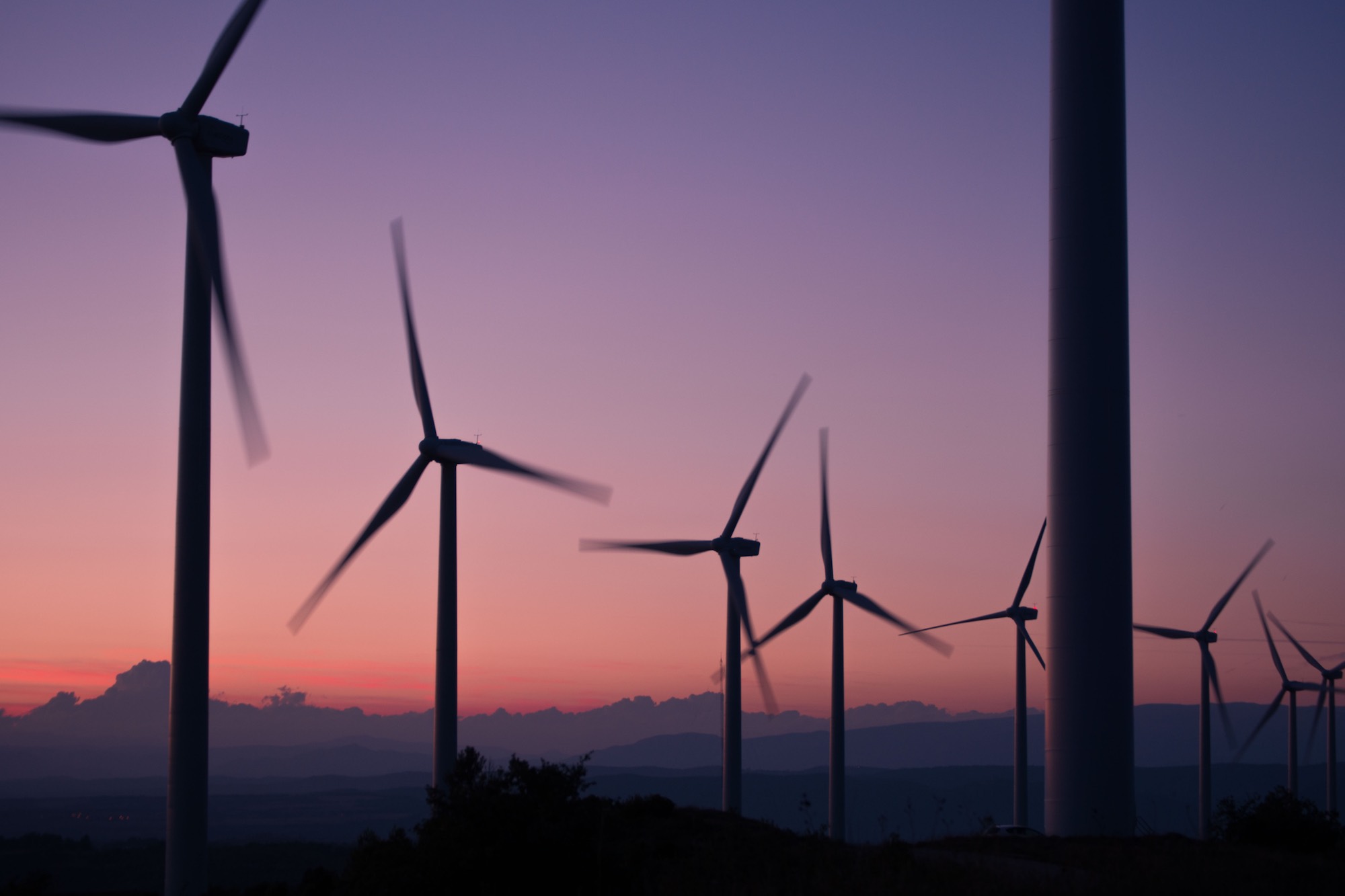 Windfarms at sunset