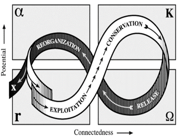 Adaptive Cycle diagram