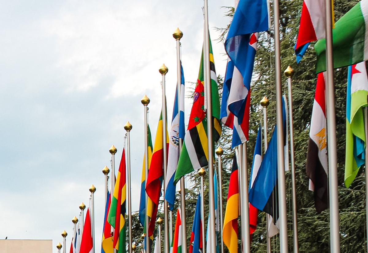 United Nations flags