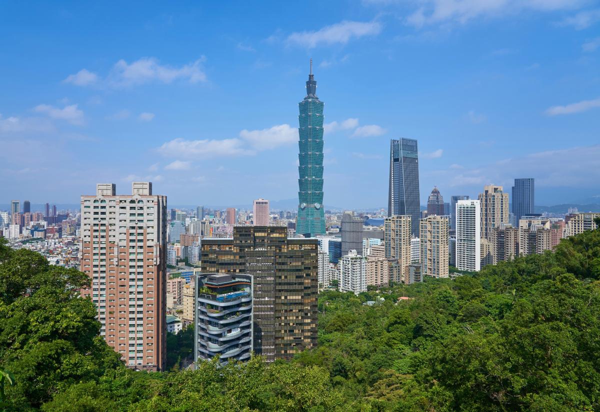 Skyline of Taipei beyond trees