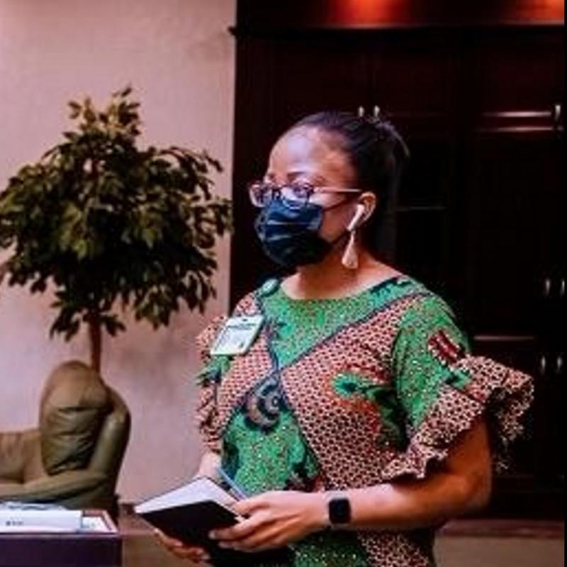 Louisa Chinedu-Okeke